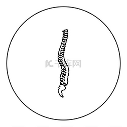 整形图片_脊柱脊柱图标圆形黑色矢量插图图