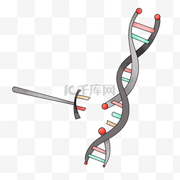 生物遗传图片_基因编辑遗传突变健康科学