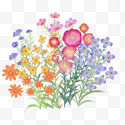简约水彩花卉图片_一簇彩色的水彩花卉晕染
