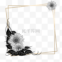 素描花卉边框图片_素描向日葵花卉金线线条边框