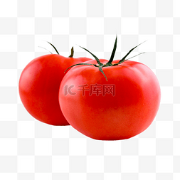 番茄植物食物蔬菜