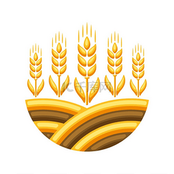 收获的田野图片_田野的插图与成熟的麦穗。