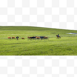 乌兰察布图片_草原高山牧场上午牧马人夏季