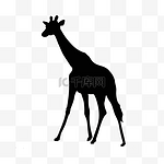 长颈鹿剪影漂亮长颈鹿