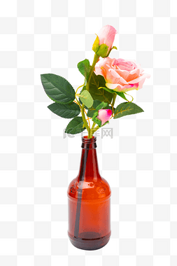 瓶插花鲜花花朵