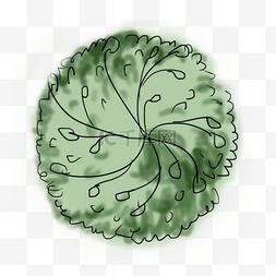 手绘抽象植物图片_手绘抽象树叶树顶俯视角度植物简