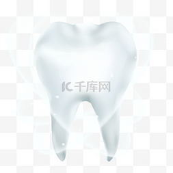 医学模型图片_牙齿美白效果牙齿模型