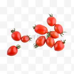 樱桃番茄植物特写农作物