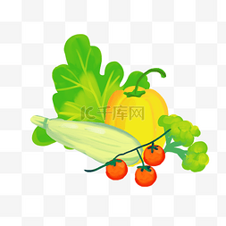 蔬果白菜彩椒组合