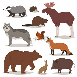 森林动物矢量卡通兽性人物熊狐狸