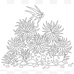 卡通鱼水族图片_珊瑚鱼和海葵