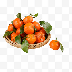 砂糖橘子图片_新鲜水果砂糖橘