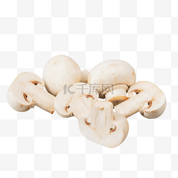 蘑蘑图片_口蘑菌菇