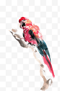 彩色的鹦鹉图片_红色的鹦鹉