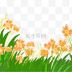 花图片_橙色盛开的花朵