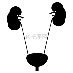 动脉硬化指数图片_膀胱和肾脏黑色图标。膀胱和肾脏