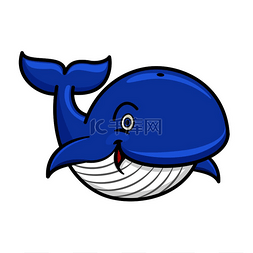 游泳的鲸鱼图片_带有蓝色脊柱和条纹白色底部游泳