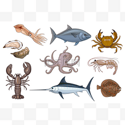 卡通手绘海洋动物图片_卡通系列食用海洋动物