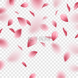 春天排版设计图片_透明背景下飘落的粉色樱花花瓣逼