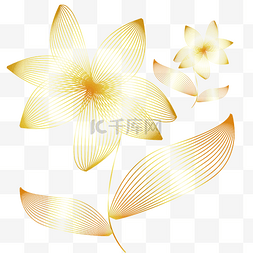 描线叶子图片_金色线描描线花朵