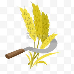 芒种节日割麦子