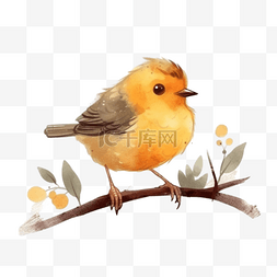 小鸟图片_卡通手绘小胖鸟小鸟