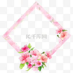 菱形花卉木槿花边框