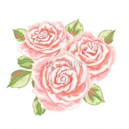 现实的玫瑰图片_与粉红玫瑰的装饰元素。