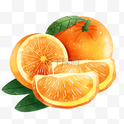 插画风格的图片_橘子水彩风格水果维生素果肉