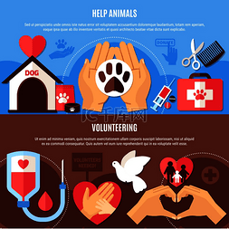 动物救援图片_带有可编辑文本和带有医疗和兽医