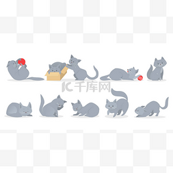 灰素材图片_一组不同位置的可爱灰猫。 滑稽