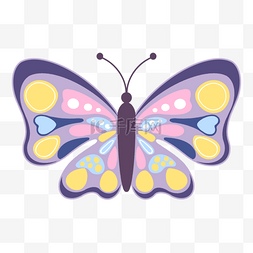 多彩紫黄色花纹蝴蝶