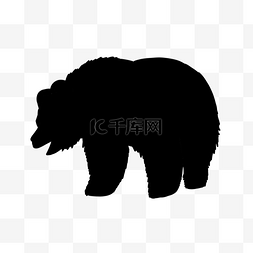 剪影黑色俄罗斯棕熊