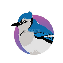蓝羽毛的鸟图片_冠蓝鸦平面设计矢量图。
