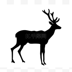 神色背景图图片_在白色背景上的矢量剪影鹿