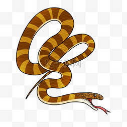 蛇蛇图片_环纹蛇插画风格棕色