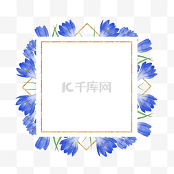 蓝色花丛图片_番红花水彩花卉蓝色边框