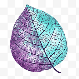 一片紫色的叶子手绘