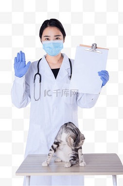 医生和猫室内拿病例本禁止手势