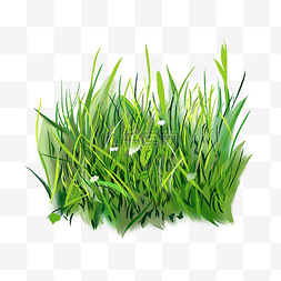 绿色植物春天草地植物小草