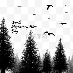 世界候鸟日林立树木和迁徙的鸟儿