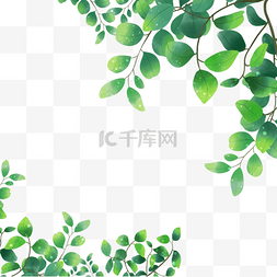 绿色叶子尤加利图片_绿色春天水彩尤加利叶边框
