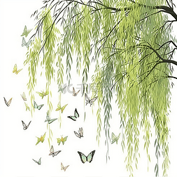 柳树扁平图片_围着柳树飞的蝴蝶