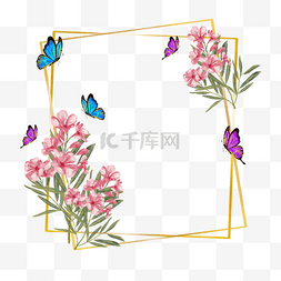 粉色花朵纹理图片_花卉边框蝴蝶水彩风格彩色