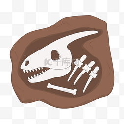 低头恐龙图片_卡通恐龙骨头化石剪贴画
