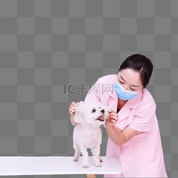 宠物医生动物看病医生与宠物萌宠
