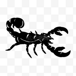 蝎子纹身危险黑色动物