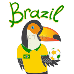 巴西足球与巨嘴鸟