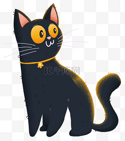 猫咪黑猫动物