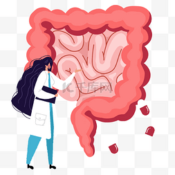 关于肠道菌群图片_胃肠健康检查医疗扁平肠道插画